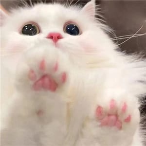 Avatar do jogador Thiago